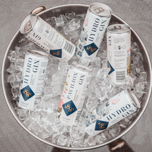 Load image into Gallery viewer, Pavilion Gin &amp; Tonic 250ml x12
